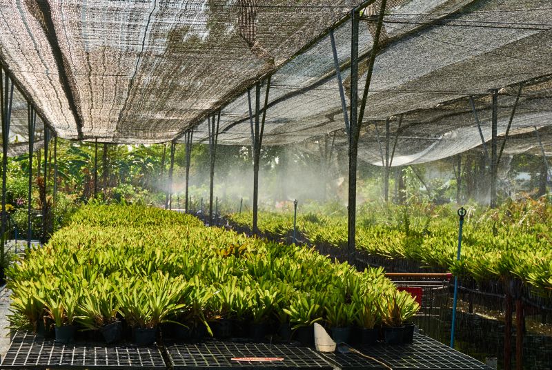 Automated Greenhouse Watering