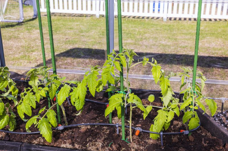 Automated Greenhouse Watering