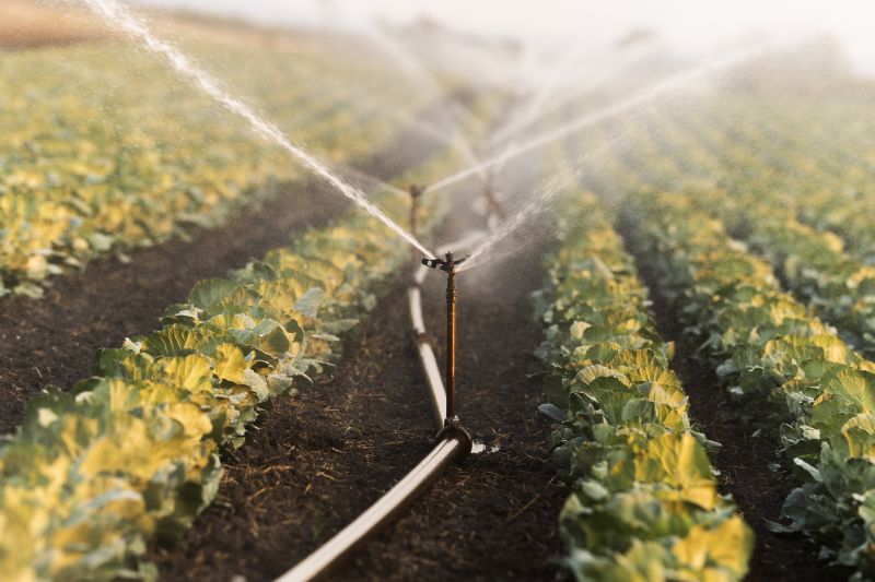 Crop Irrigation Installation in Aiken, SC