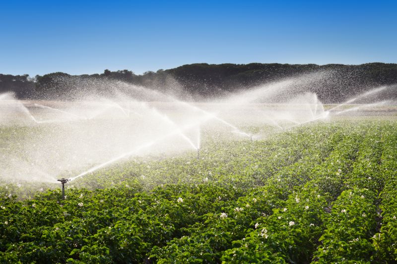 Irrigation Service in Aiken, SC