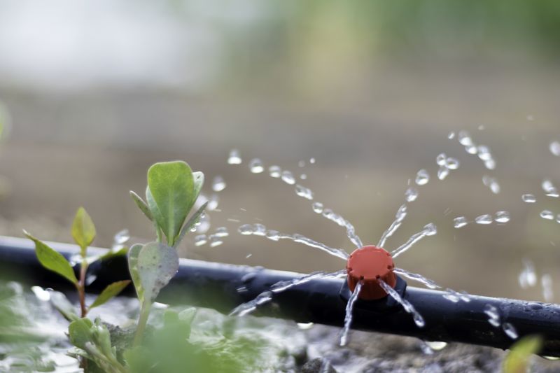 Irrigation System Replacement in Ventura County, CA