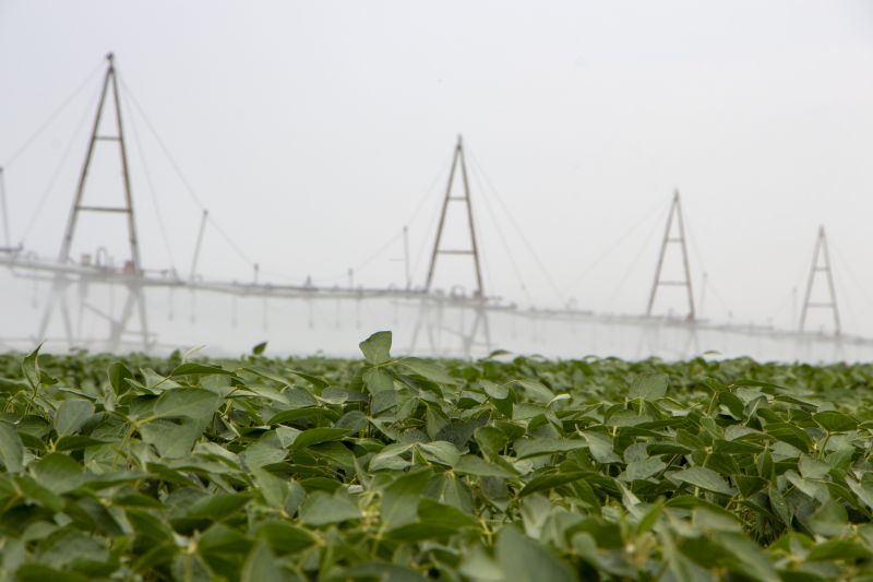 System Installation Phase