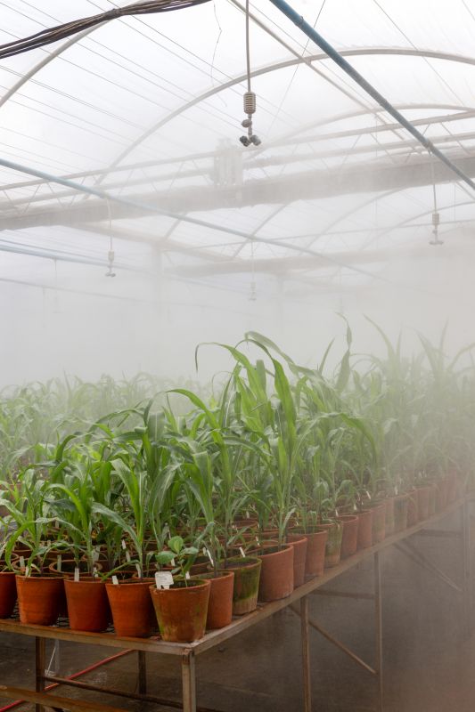 Automated Greenhouse Watering