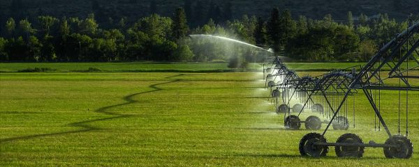 Smart Irrigation Installation